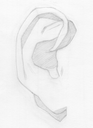 Bargue Ear 07
