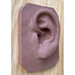Ear 01 copy